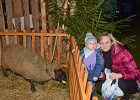 Michal Sláma : Živý Betlém 25.12.2016, Živý Betlém 25.12.2016 - Doubravy